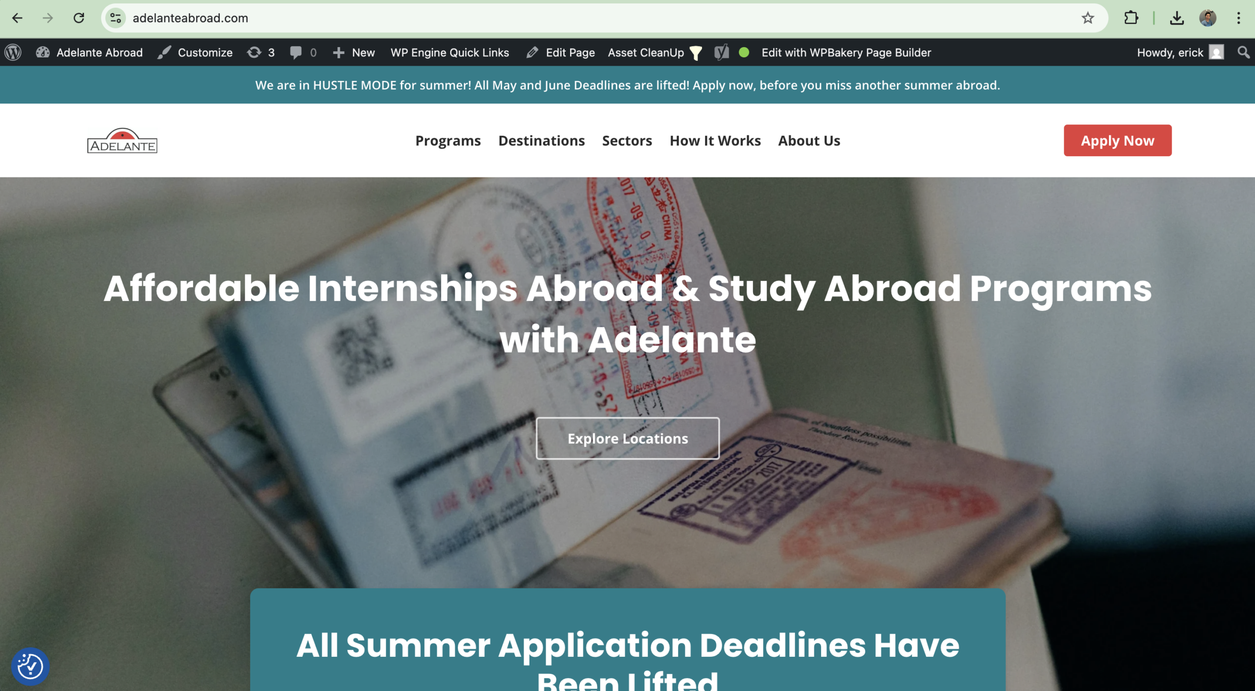 Adelante Abroad website screenshot