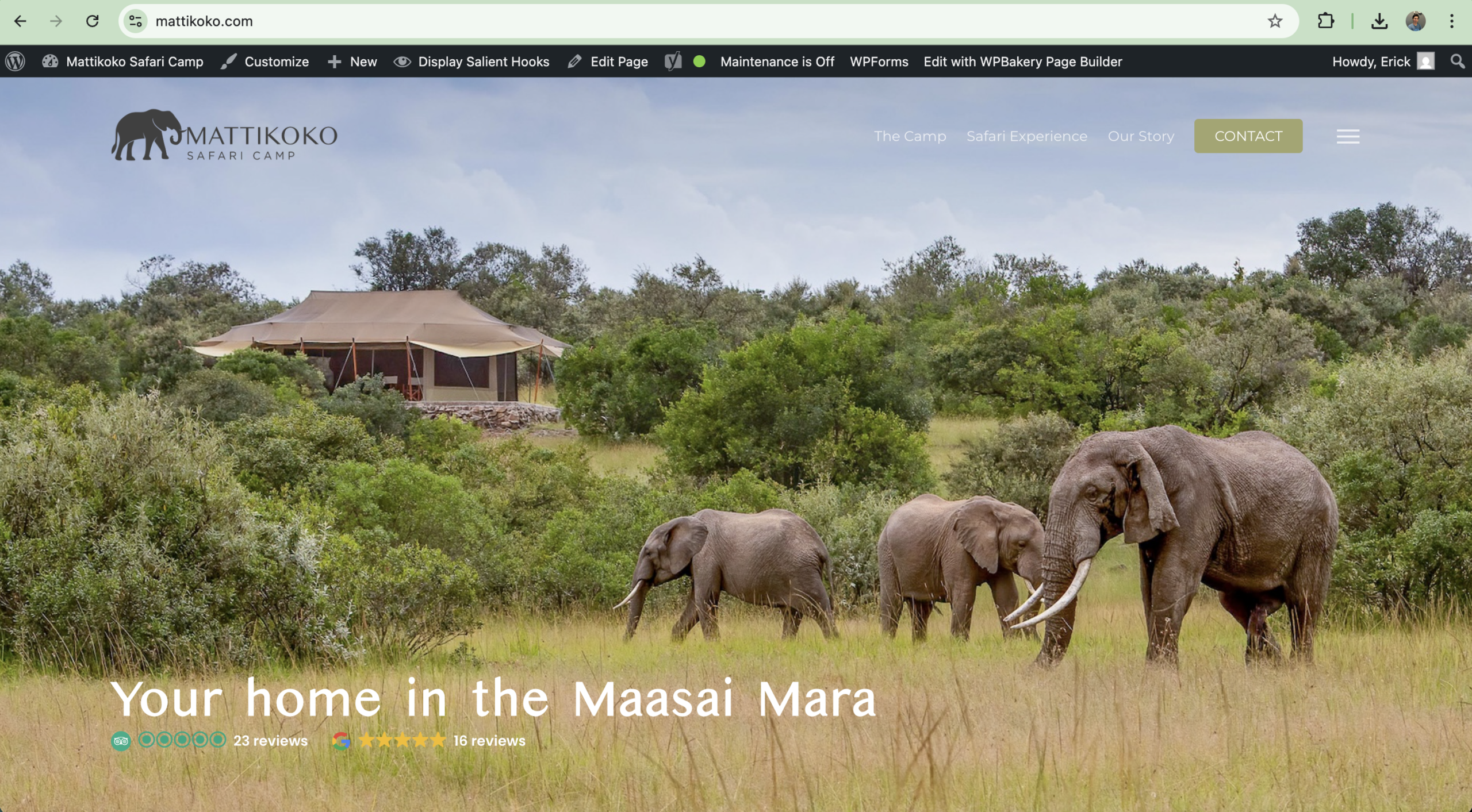 Mattikoko Safari Camp website screenshot